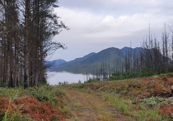 Enjoying nature during a weekend MTB ride